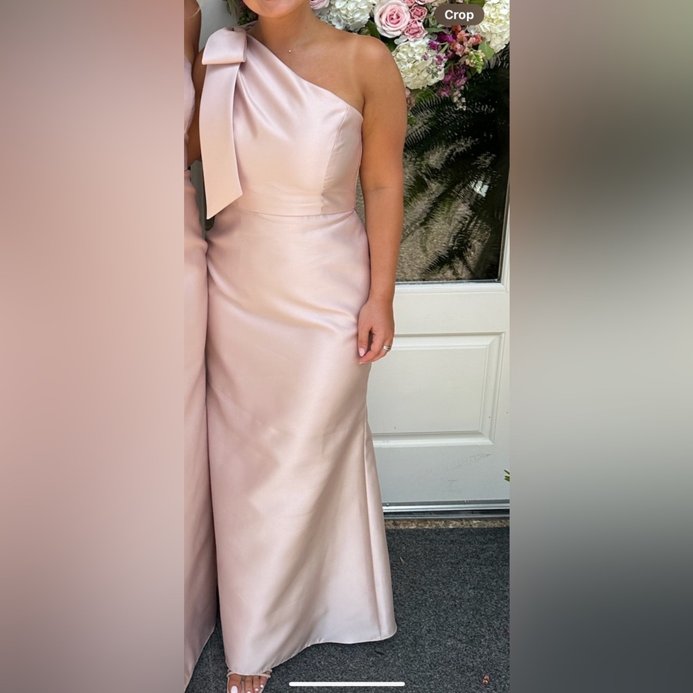 Dessy Group Alfred Sung Dress in Cameo